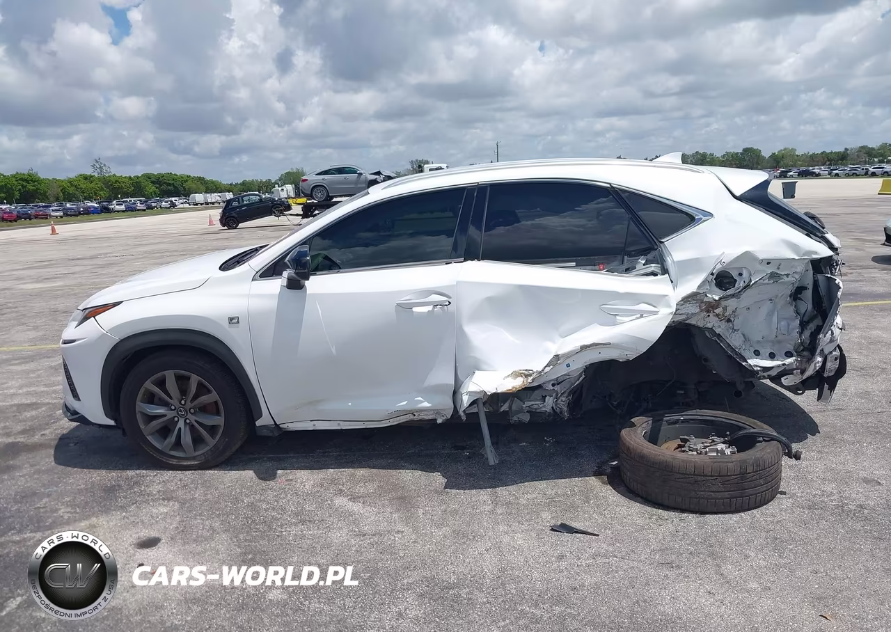 2019 Lexus Nx 300 F Sport VIN:JTJYARBZ0K2147861 - 15