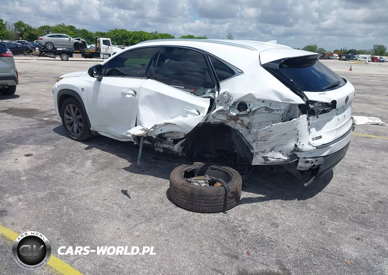 2019 Lexus Nx 300 F Sport VIN:JTJYARBZ0K2147861 - 3