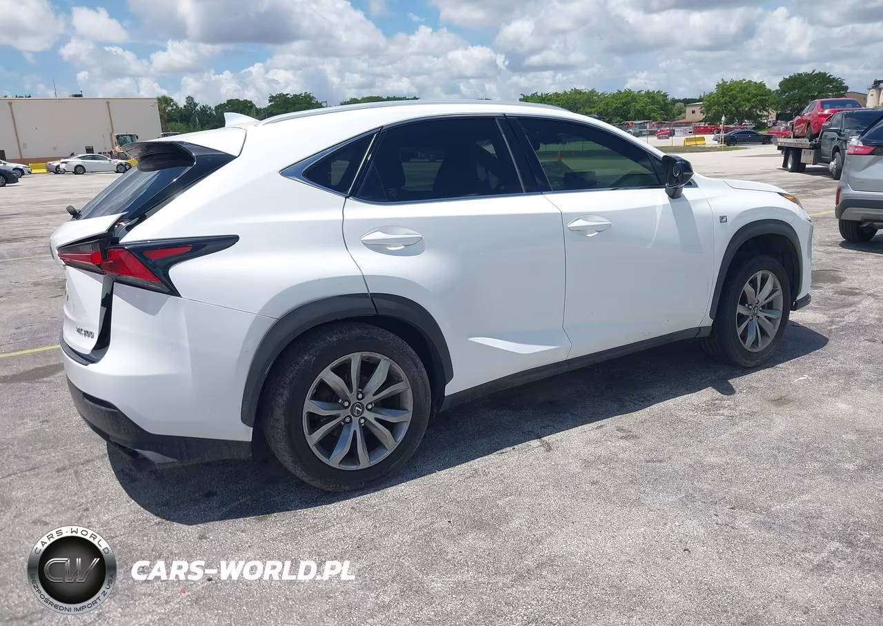 2019 Lexus Nx 300 F Sport VIN:JTJYARBZ0K2147861 - 4