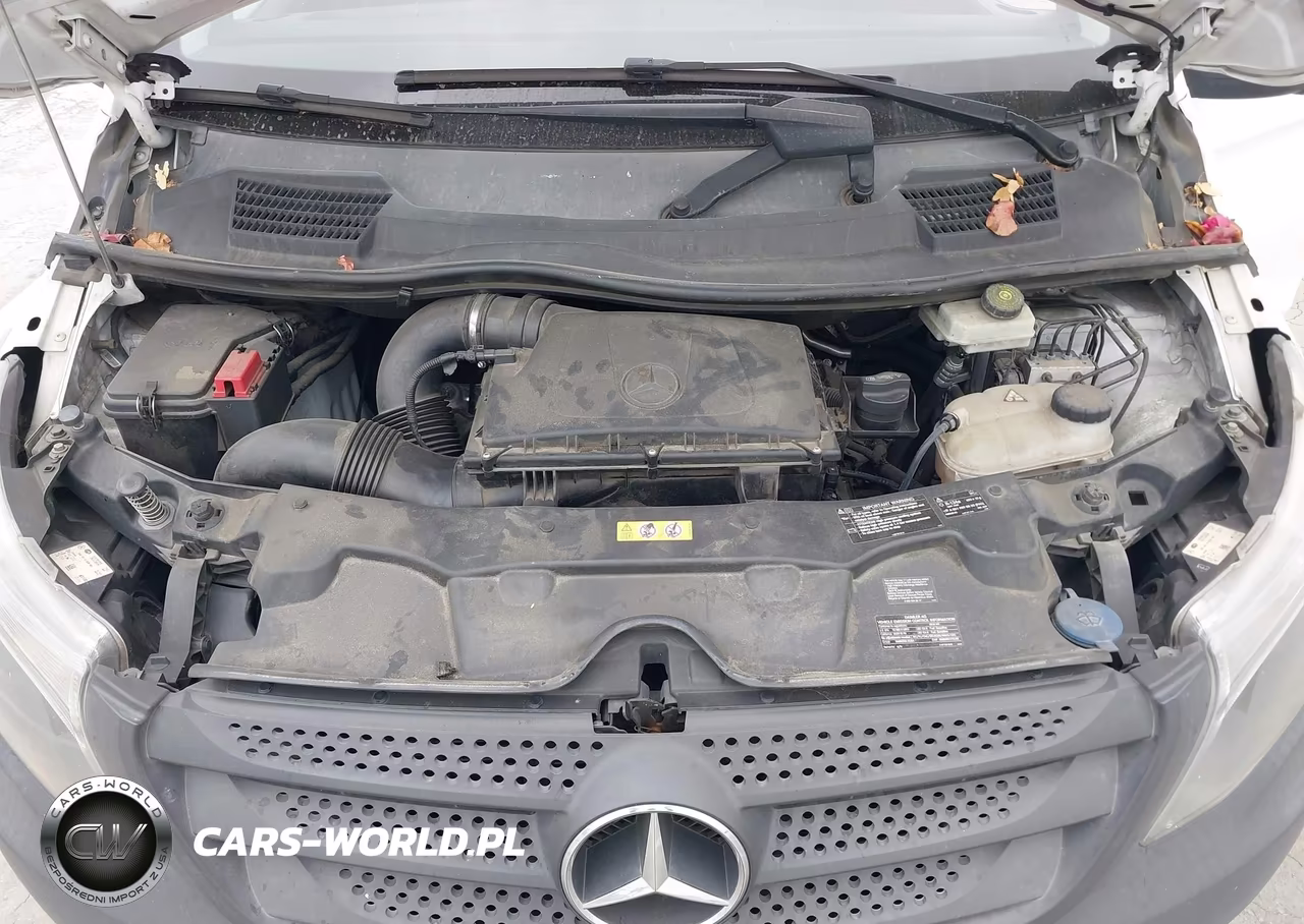 2016 Mercedes-Benz Metris VIN:WD3PG2EA5G3100198 - 10