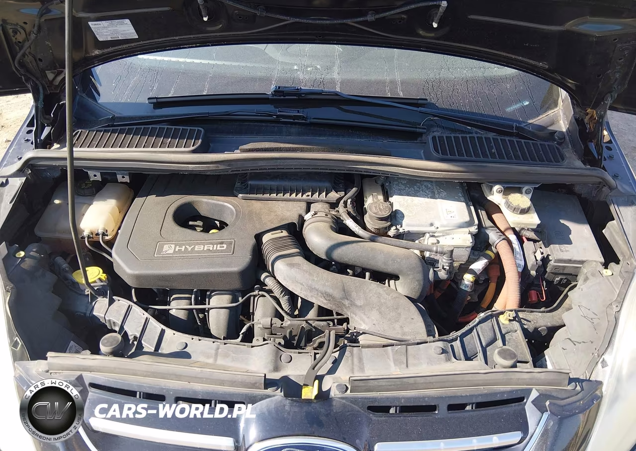 2014 Ford C-Max Hybrid Sel VIN:1FADP5BU0EL506210 - 10
