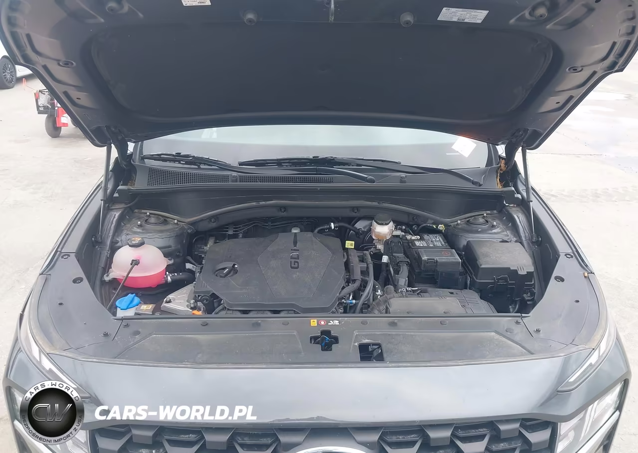2023 Hyundai Santa Fe Sel VIN:5NMS2DAJ6PH632299 - 10