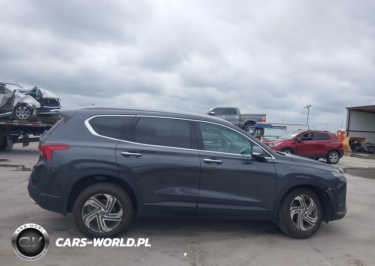 2023 Hyundai Santa Fe Sel VIN:5NMS2DAJ6PH632299 - 13