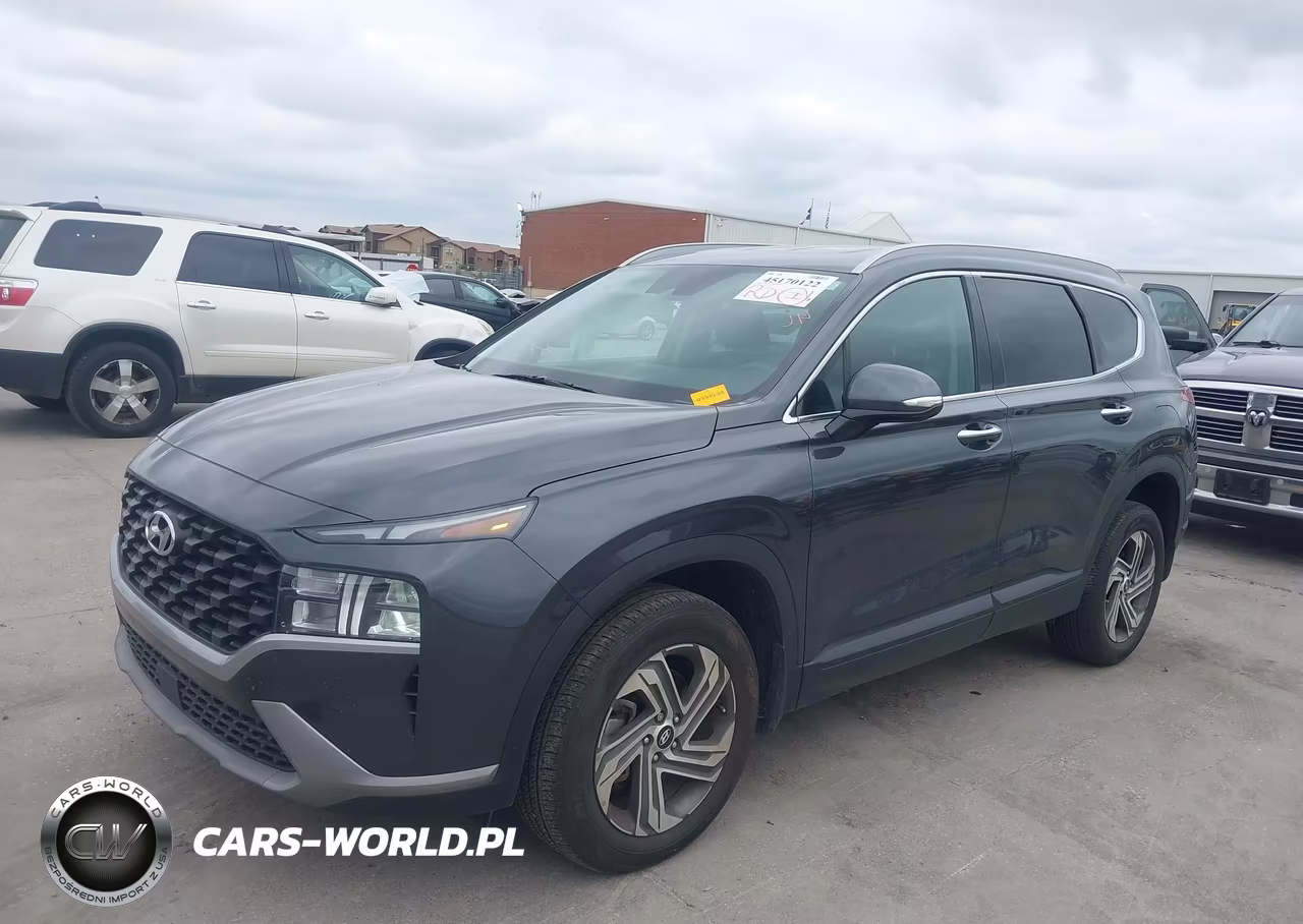 2023 Hyundai Santa Fe Sel VIN:5NMS2DAJ6PH632299 - 2
