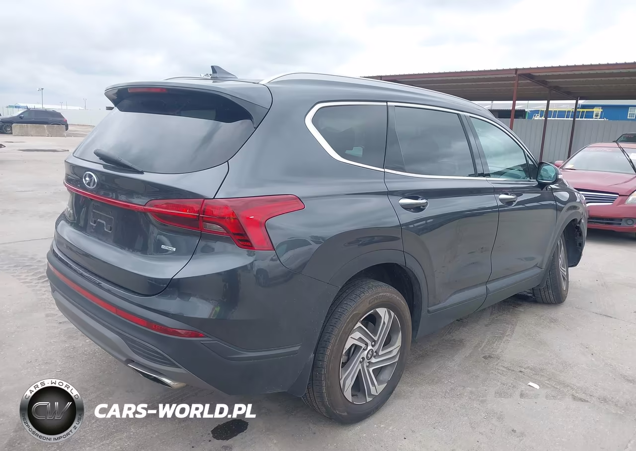 2023 Hyundai Santa Fe Sel VIN:5NMS2DAJ6PH632299 - 4