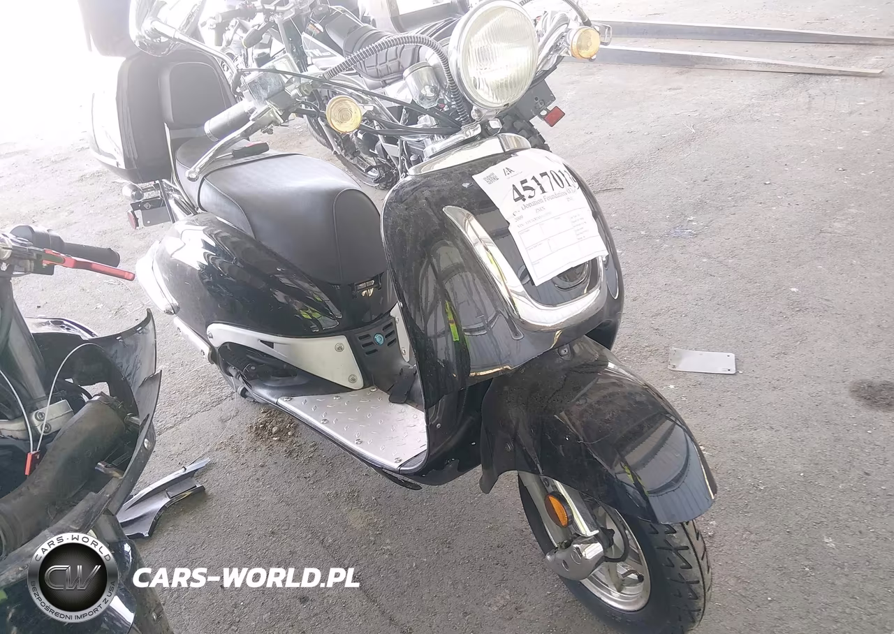 2009 Znen Scooter