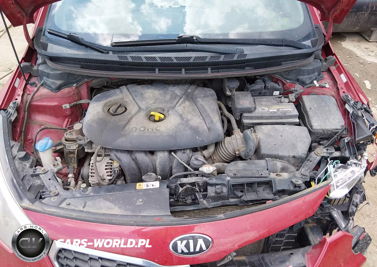 2016 Kia Forte Lx VIN:KNAFX4A67G5536759 - 10