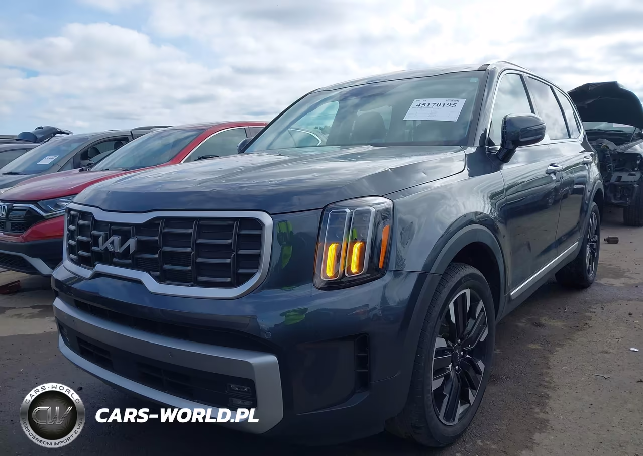 2024 Kia Telluride Sx Prestige VIN:5XYP5DGC2RG422897 - 12