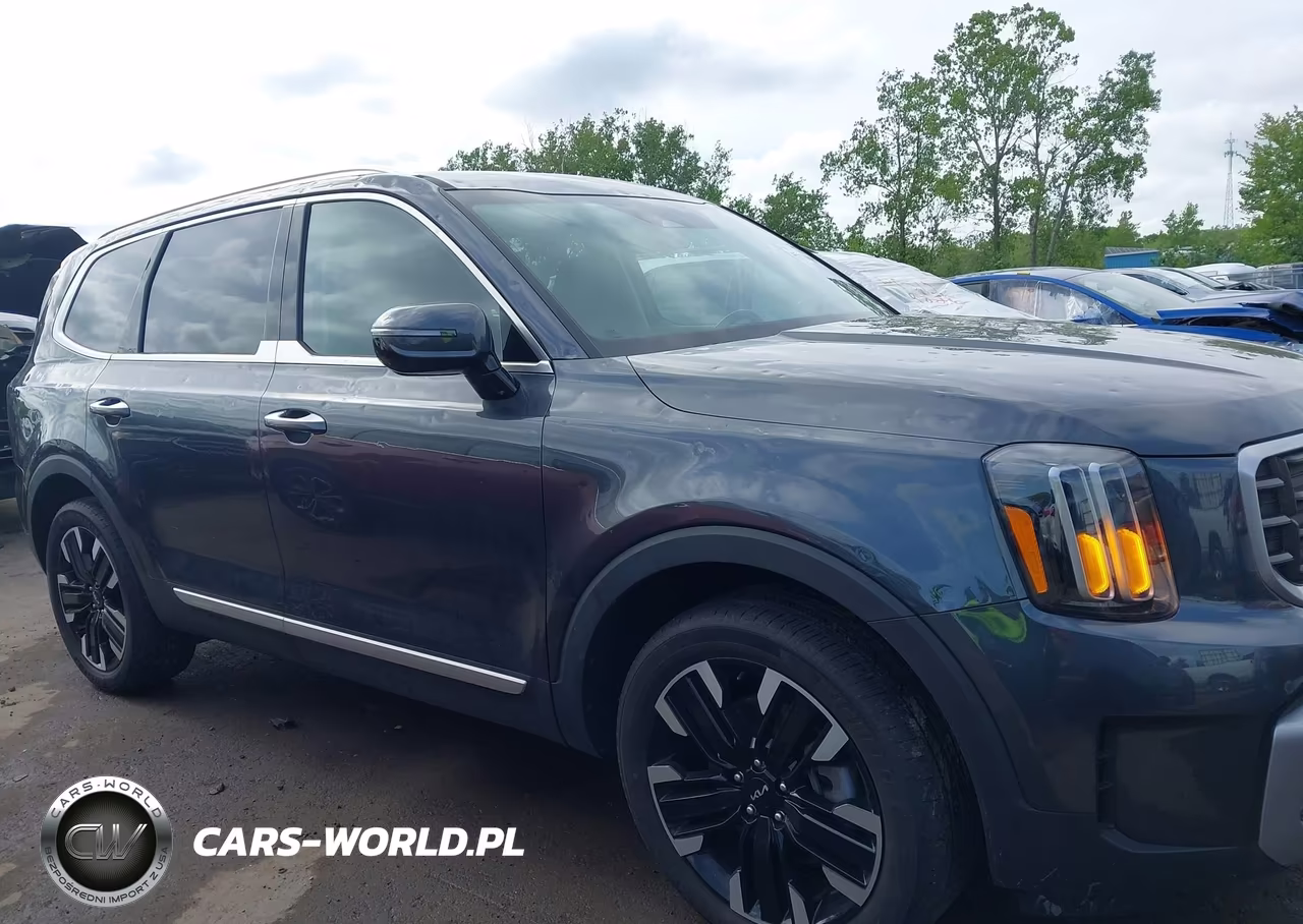2024 Kia Telluride Sx Prestige VIN:5XYP5DGC2RG422897 - 13