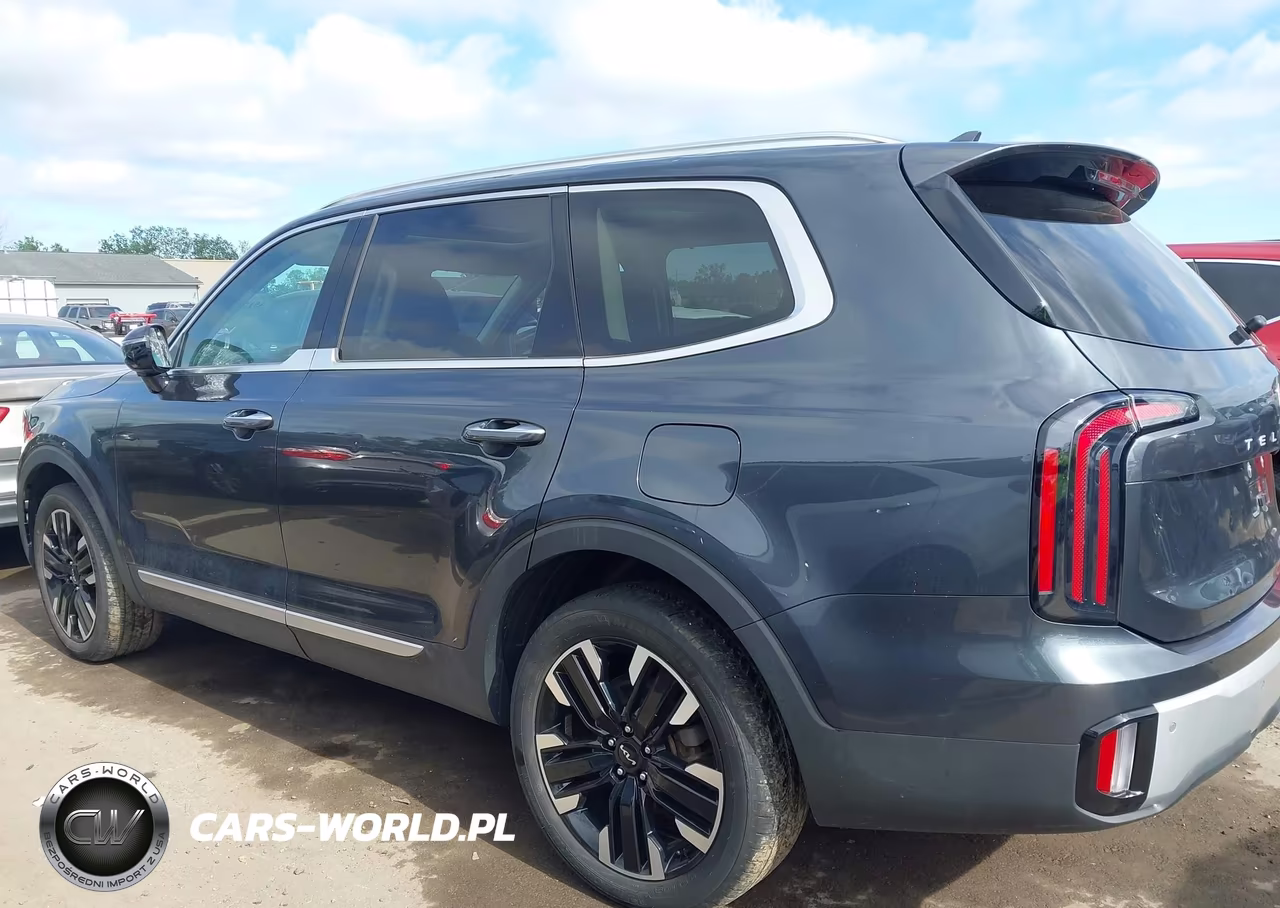 2024 Kia Telluride Sx Prestige VIN:5XYP5DGC2RG422897 - 14