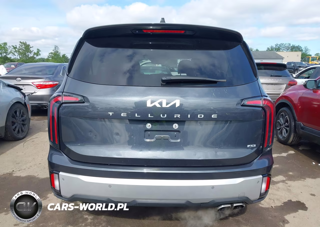 2024 Kia Telluride Sx Prestige VIN:5XYP5DGC2RG422897 - 16