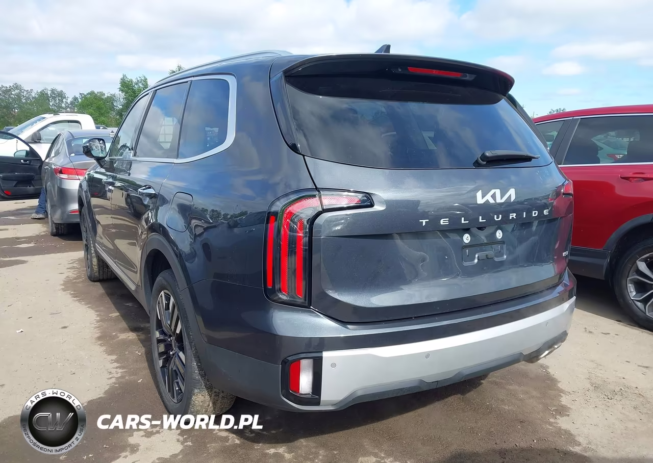 2024 Kia Telluride Sx Prestige VIN:5XYP5DGC2RG422897 - 3