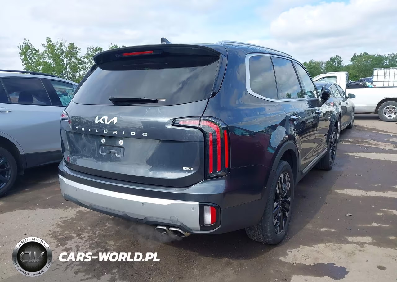 2024 Kia Telluride Sx Prestige VIN:5XYP5DGC2RG422897 - 4