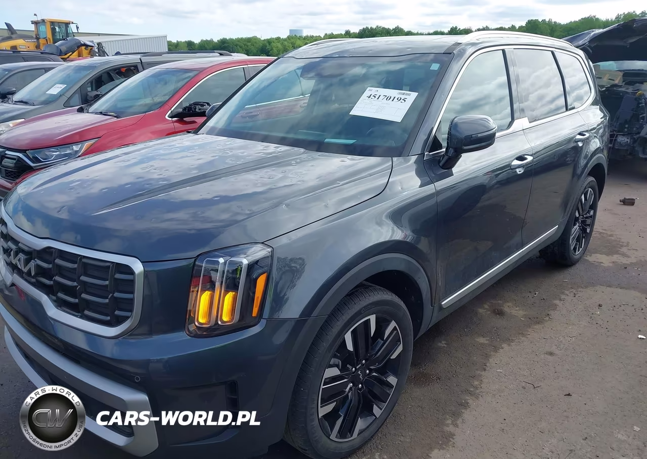 2024 Kia Telluride Sx Prestige VIN:5XYP5DGC2RG422897 - 6
