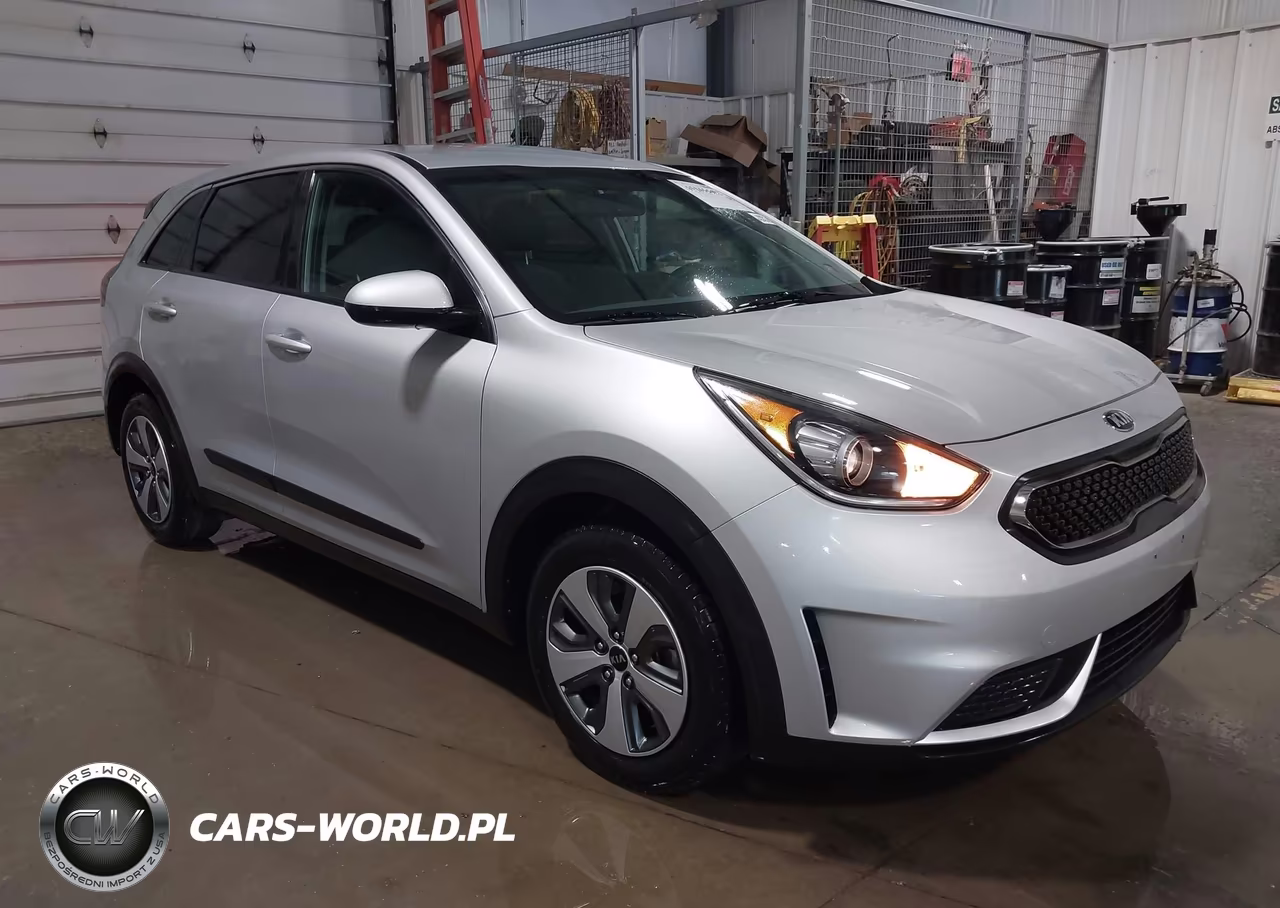 2019 Kia Niro Fe