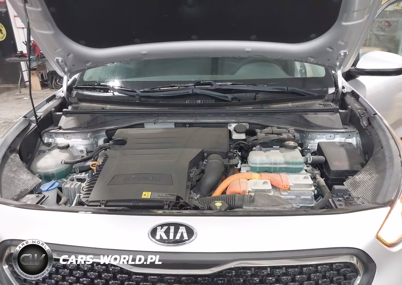 2019 Kia Niro Fe VIN:KNDCB3LC2K5218963 - 10