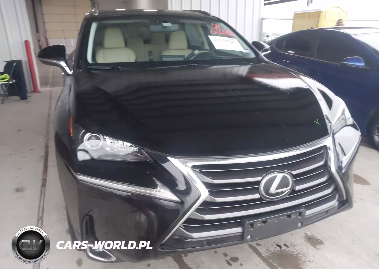 2016 Lexus Nx 200T VIN:JTJYARBZXG2045944 - 6