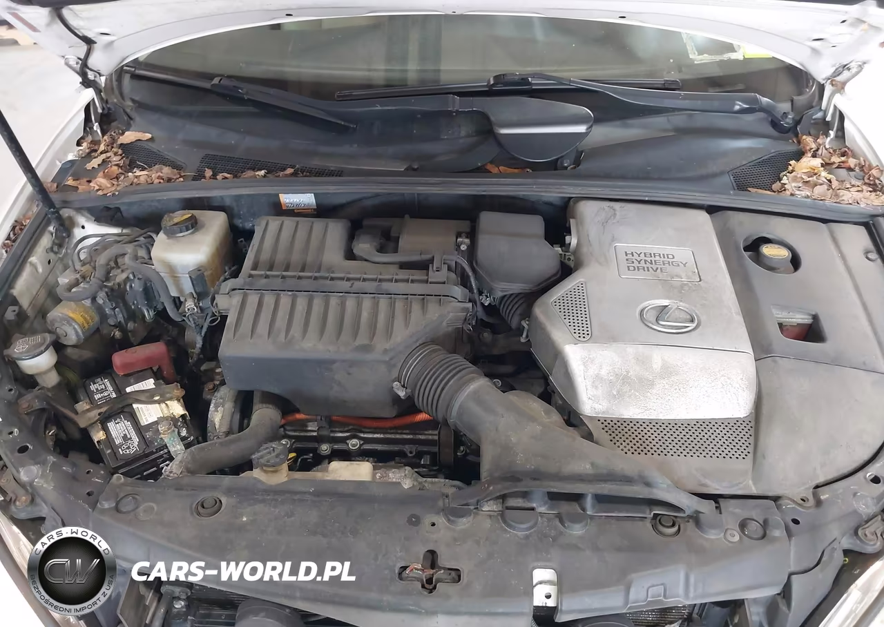 2006 Lexus Rx 400H VIN:JTJHW31U960013226 - 10