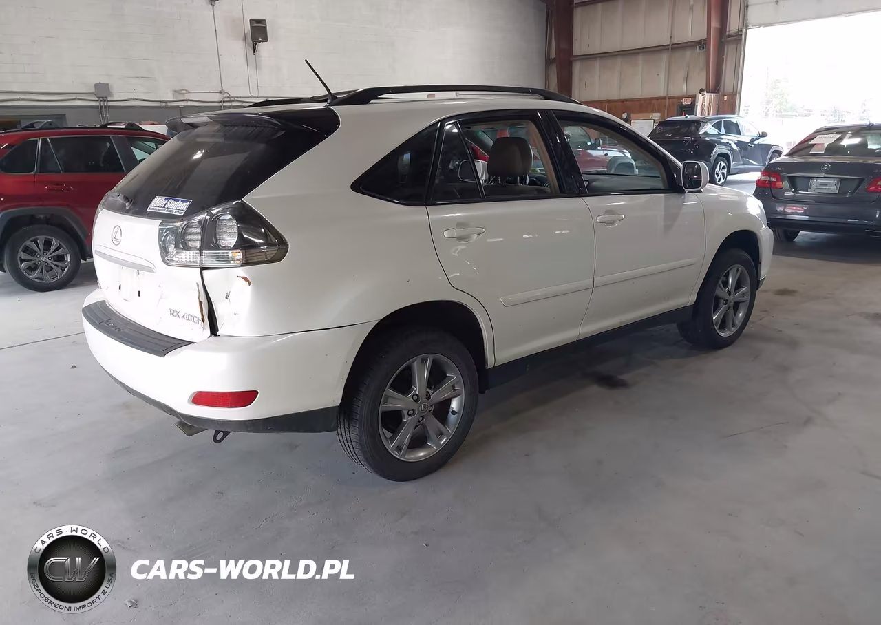 2006 Lexus Rx 400H VIN:JTJHW31U960013226 - 4