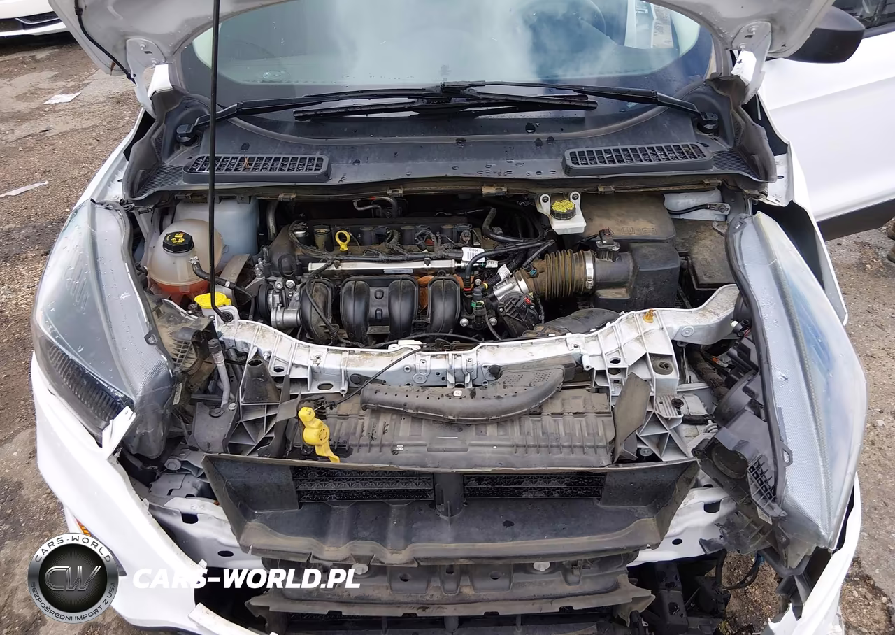 2019 Ford Escape S VIN:1FMCU0F79KUB94508 - 10
