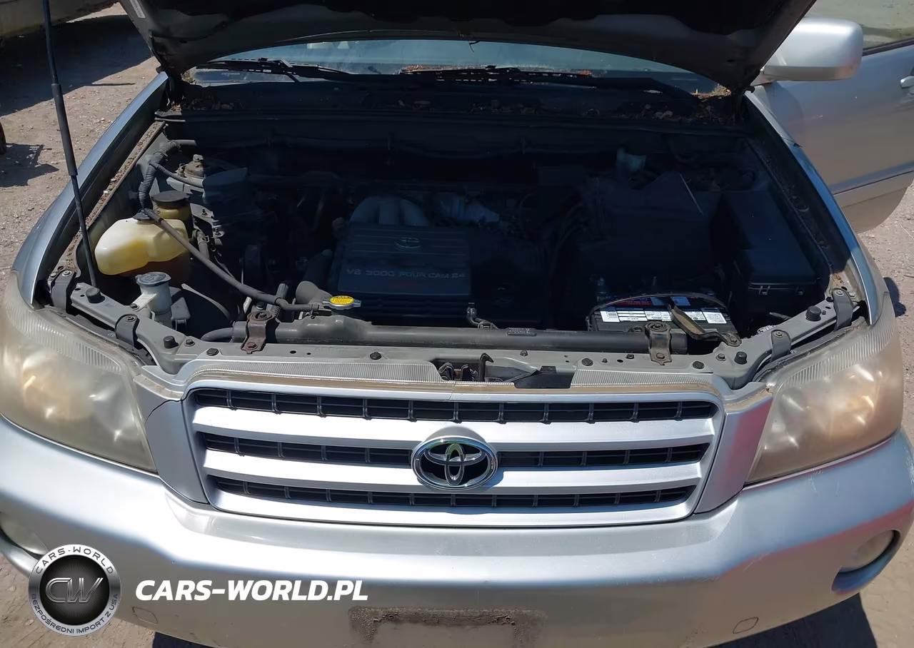 2002 Toyota Highlander Limited V6 VIN:JTEGF21AX20030184 - 10