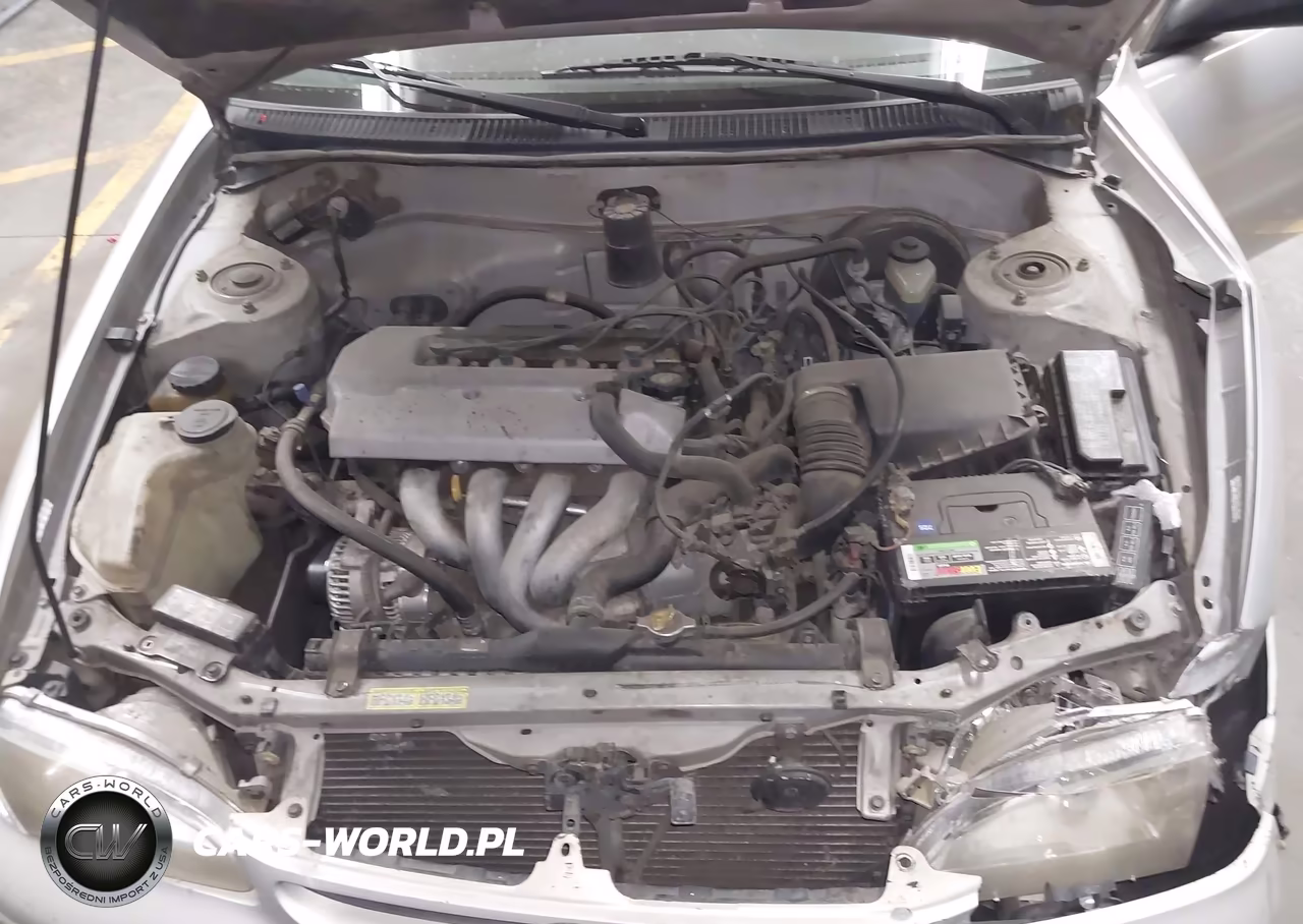 1999 Toyota Corolla Ve VIN:1NXBR12E5XZ163898 - 10
