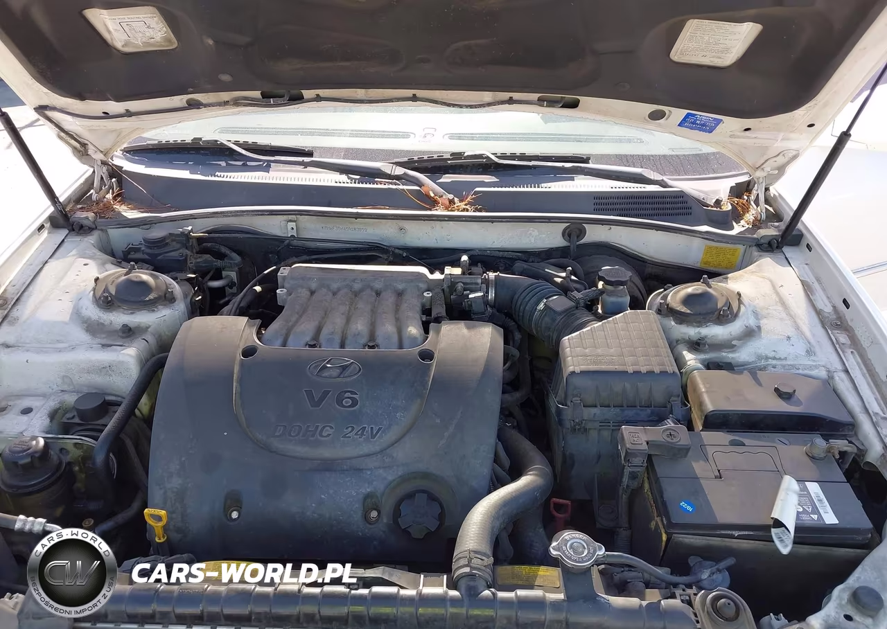 2005 Hyundai Sonata Gls-Lx VIN:KMHWF35H45A183859 - 10