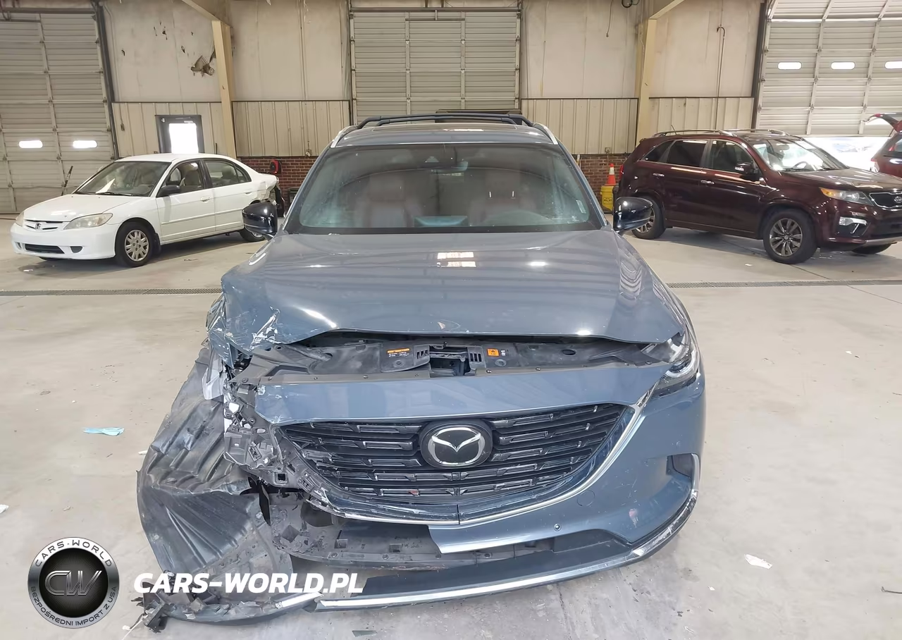 2021 Mazda Cx-9 Carbon Edition VIN:JM3TCADY7M0517643 - 12
