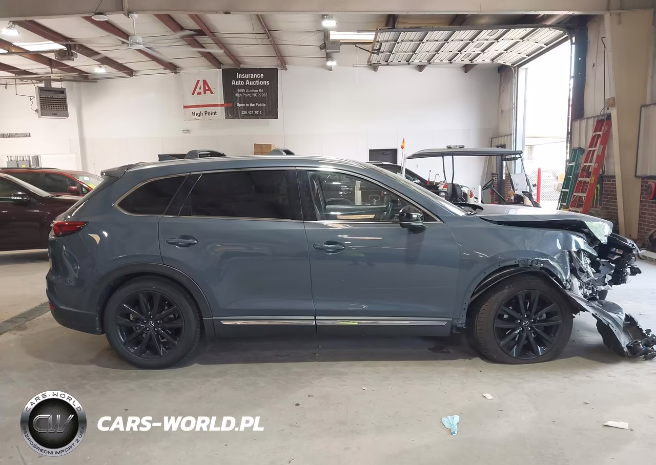 2021 Mazda Cx-9 Carbon Edition VIN:JM3TCADY7M0517643 - 13