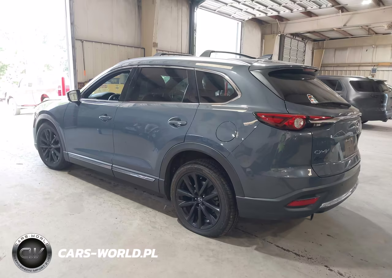 2021 Mazda Cx-9 Carbon Edition VIN:JM3TCADY7M0517643 - 3