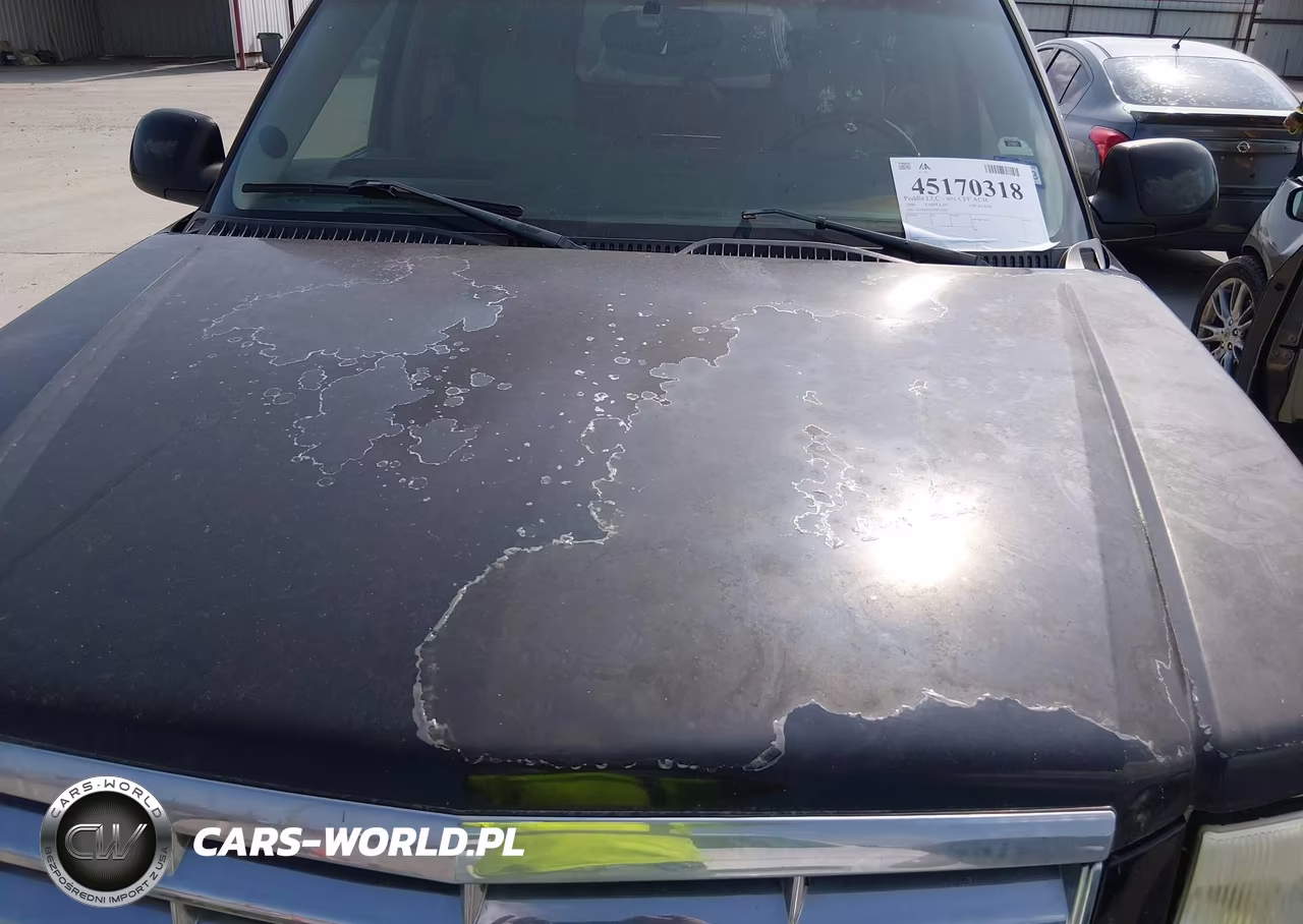 2006 Cadillac Escalade Standard VIN:1GYEK63N26R122416 - 12