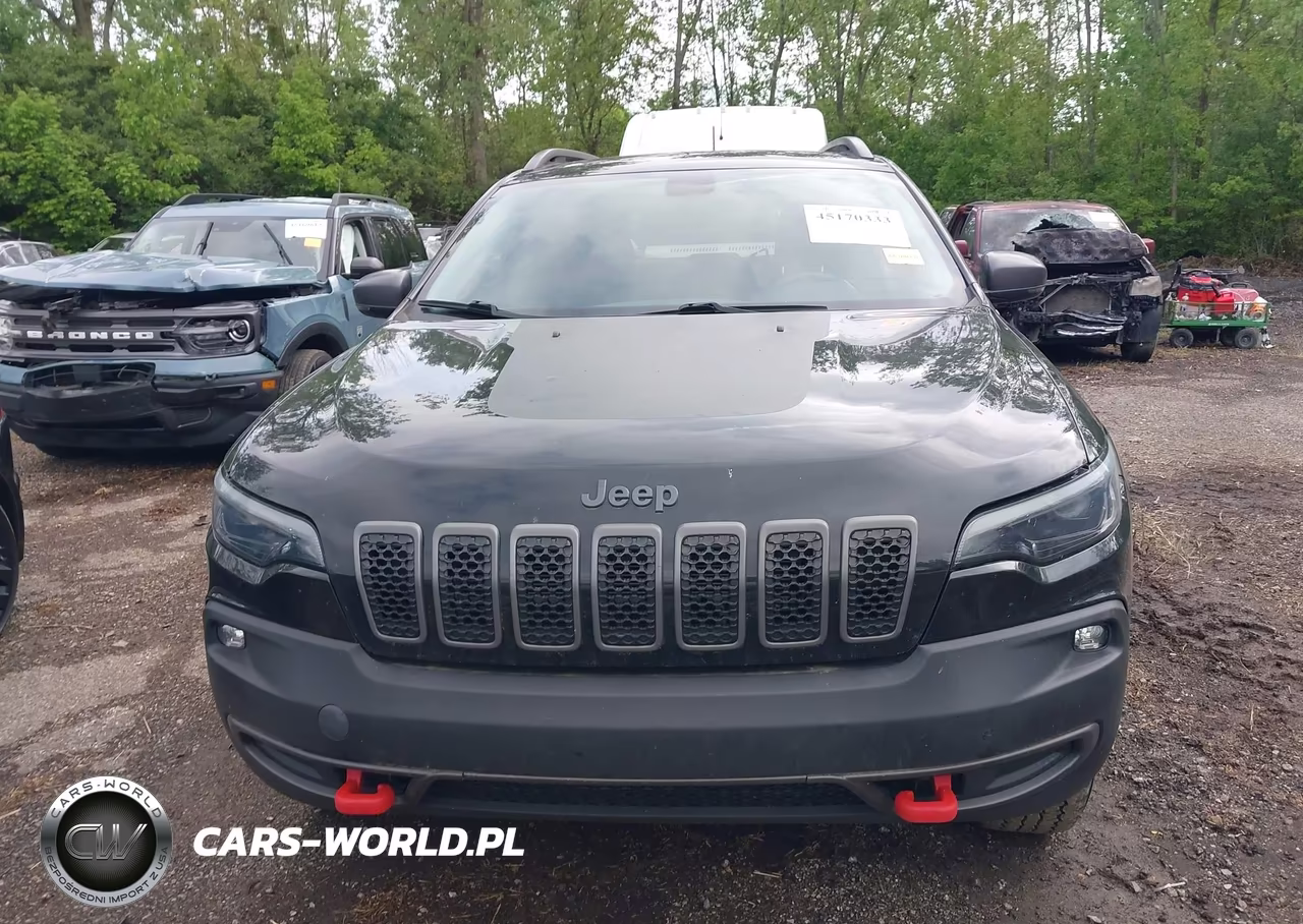 2019 Jeep Cherokee Trailhawk 4X4 VIN:1C4PJMBX3KD124644 - 12