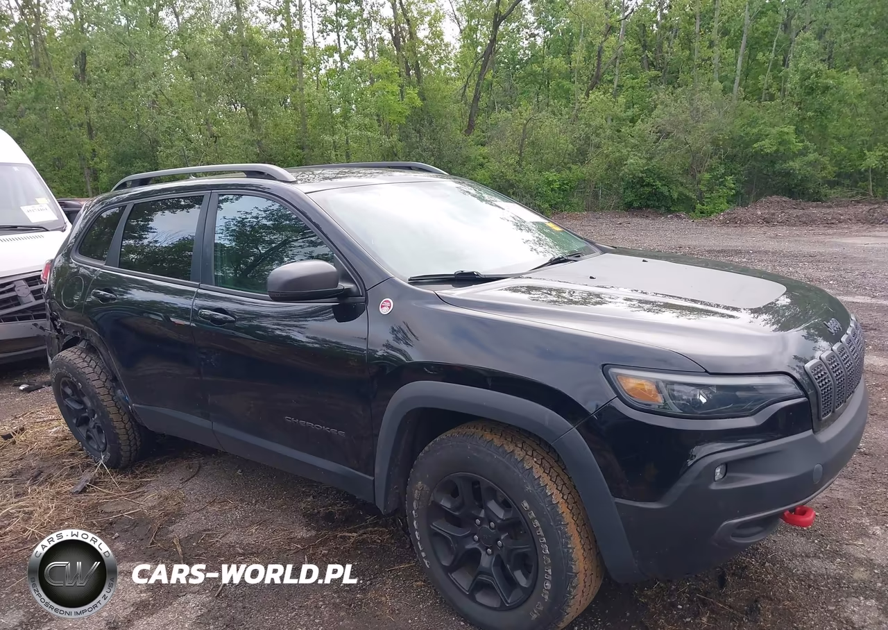 2019 Jeep Cherokee Trailhawk 4X4 VIN:1C4PJMBX3KD124644 - 13