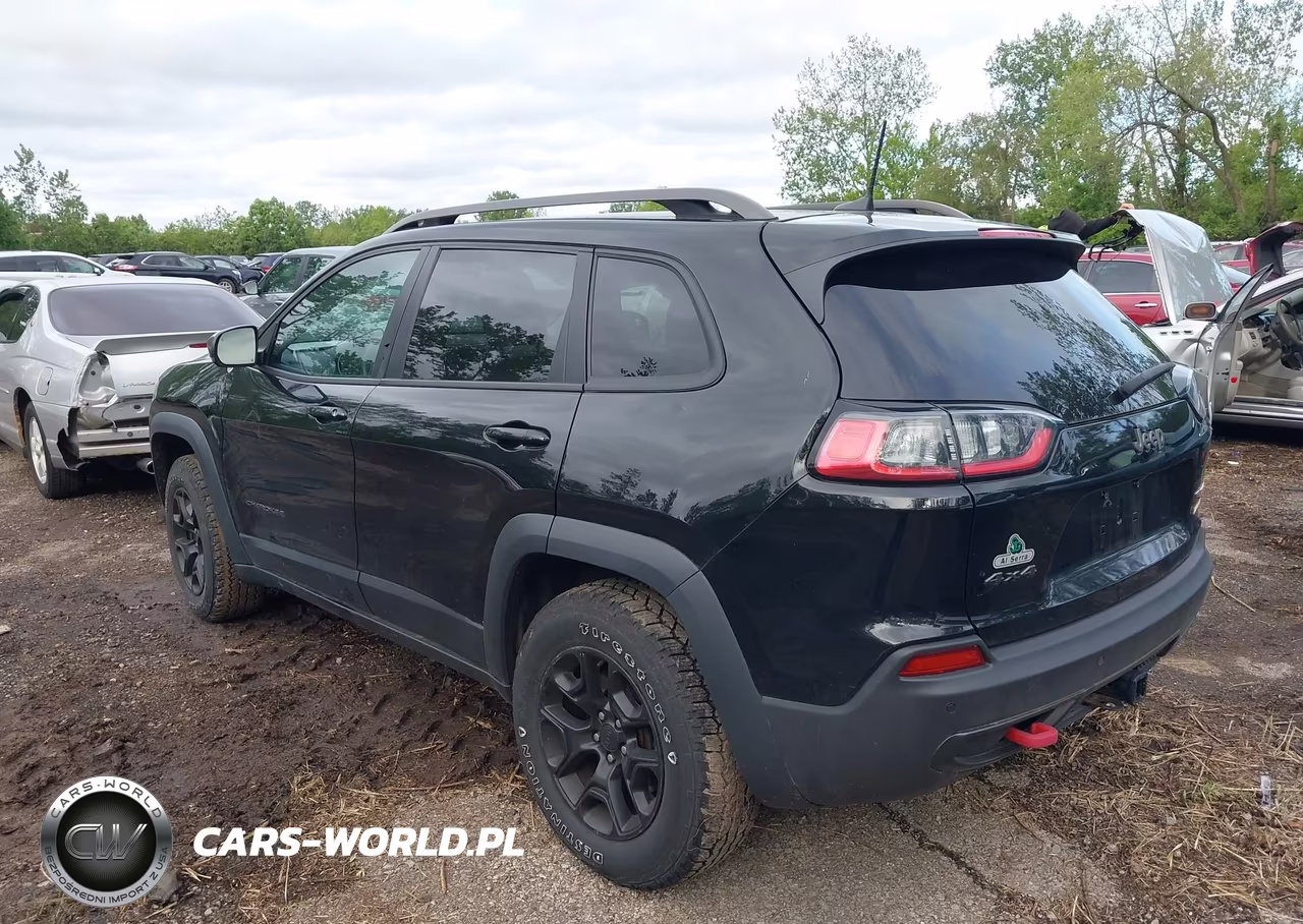 2019 Jeep Cherokee Trailhawk 4X4 VIN:1C4PJMBX3KD124644 - 3