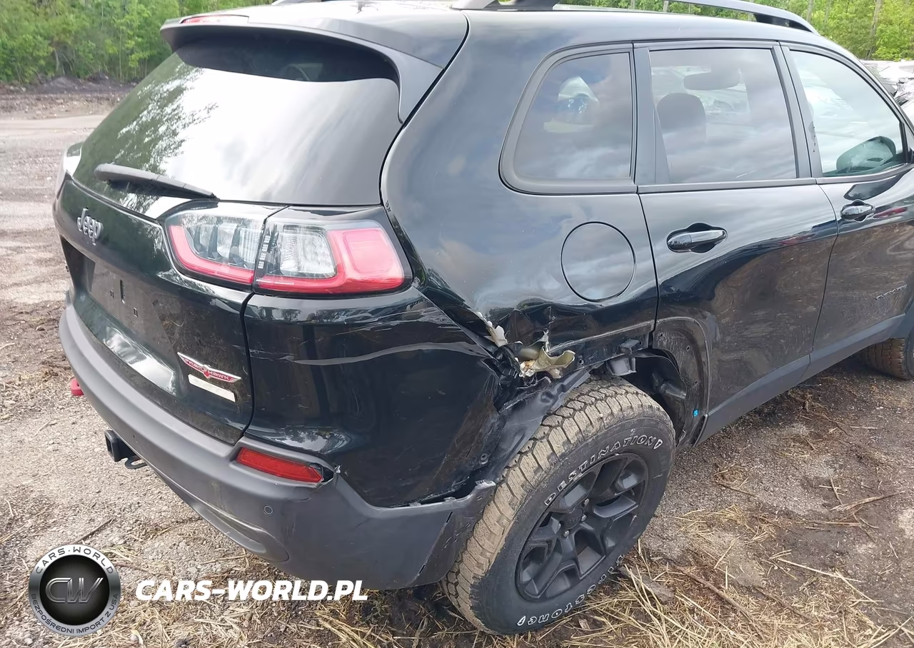 2019 Jeep Cherokee Trailhawk 4X4 VIN:1C4PJMBX3KD124644 - 6