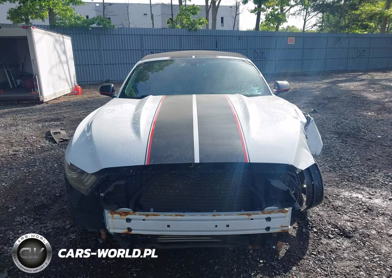 2016 Ford Mustang Ecoboost Premium VIN:1FATP8UH8G5204684 - 12