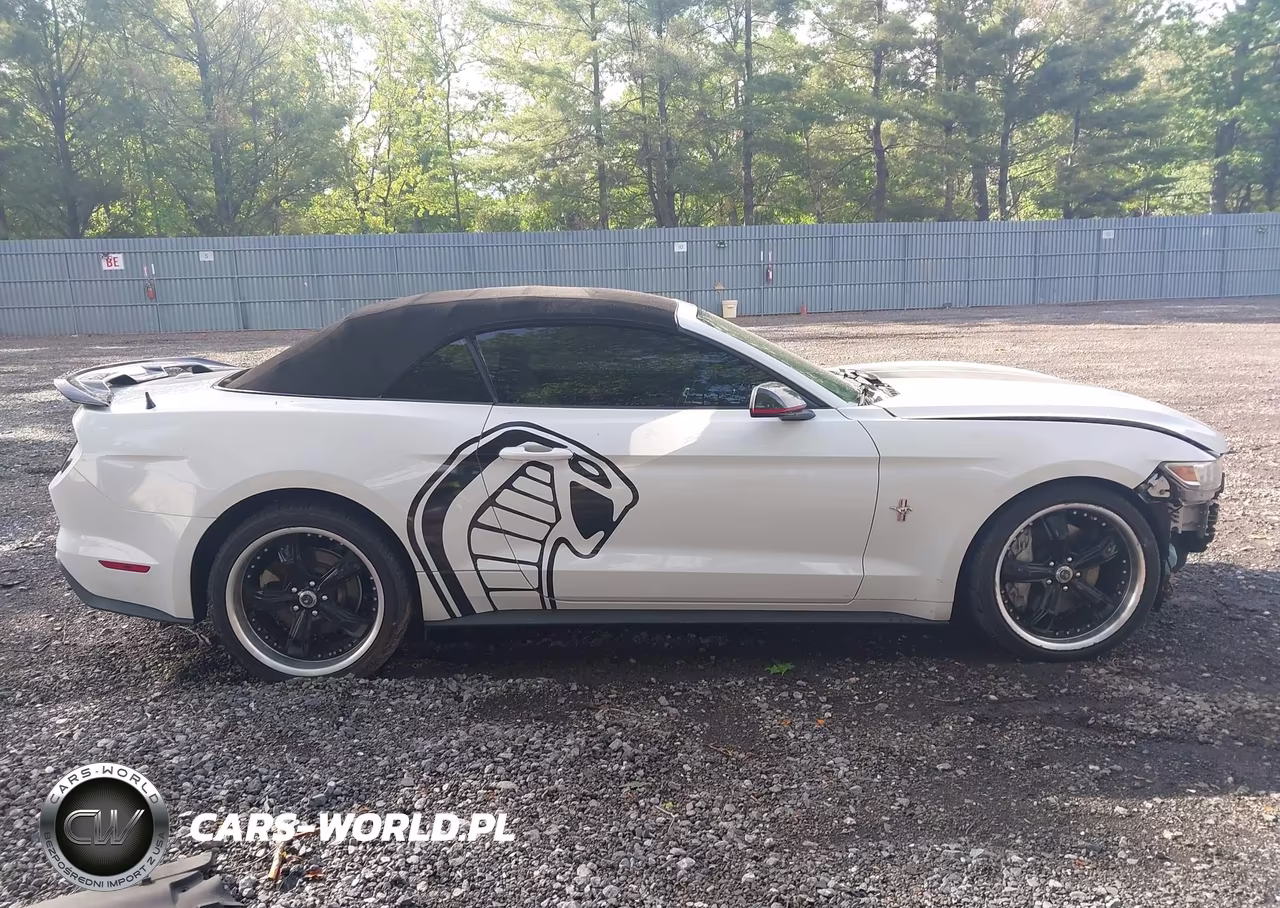 2016 Ford Mustang Ecoboost Premium VIN:1FATP8UH8G5204684 - 13