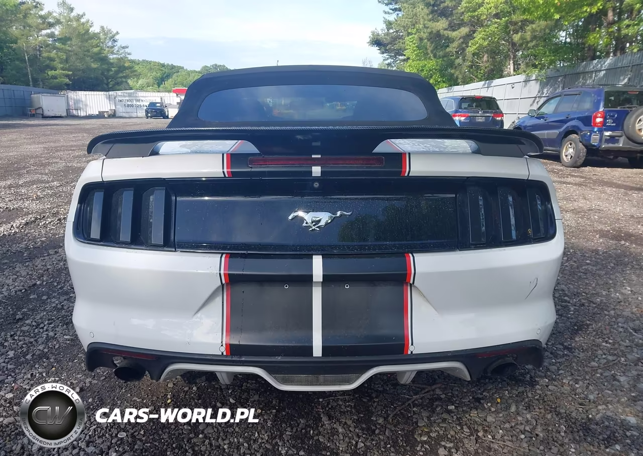 2016 Ford Mustang Ecoboost Premium VIN:1FATP8UH8G5204684 - 16