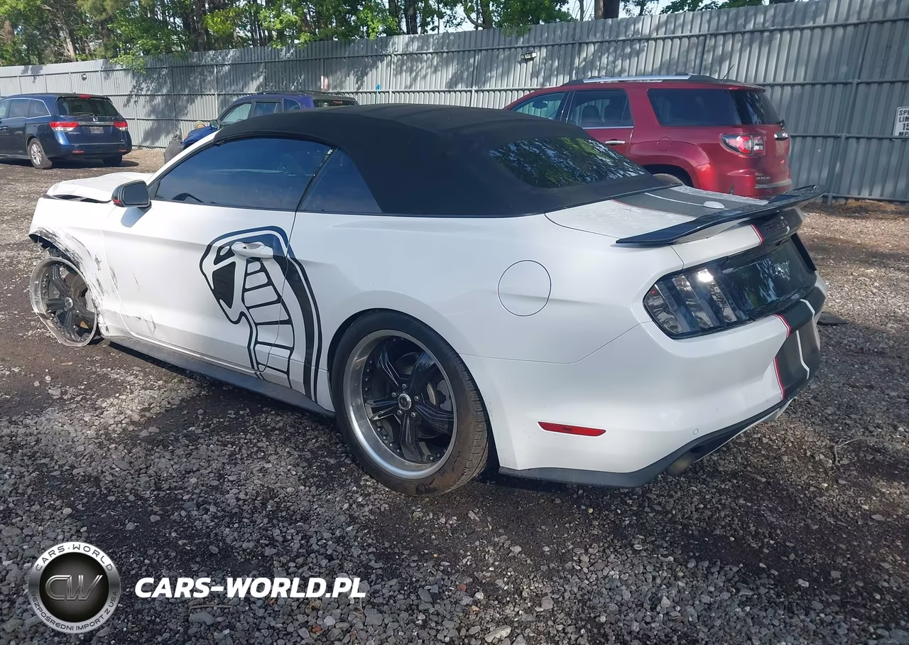 2016 Ford Mustang Ecoboost Premium VIN:1FATP8UH8G5204684 - 3