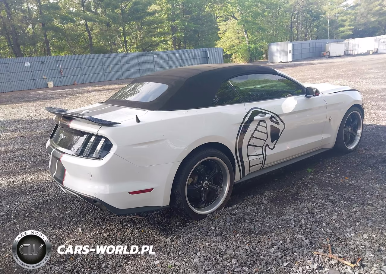 2016 Ford Mustang Ecoboost Premium VIN:1FATP8UH8G5204684 - 4