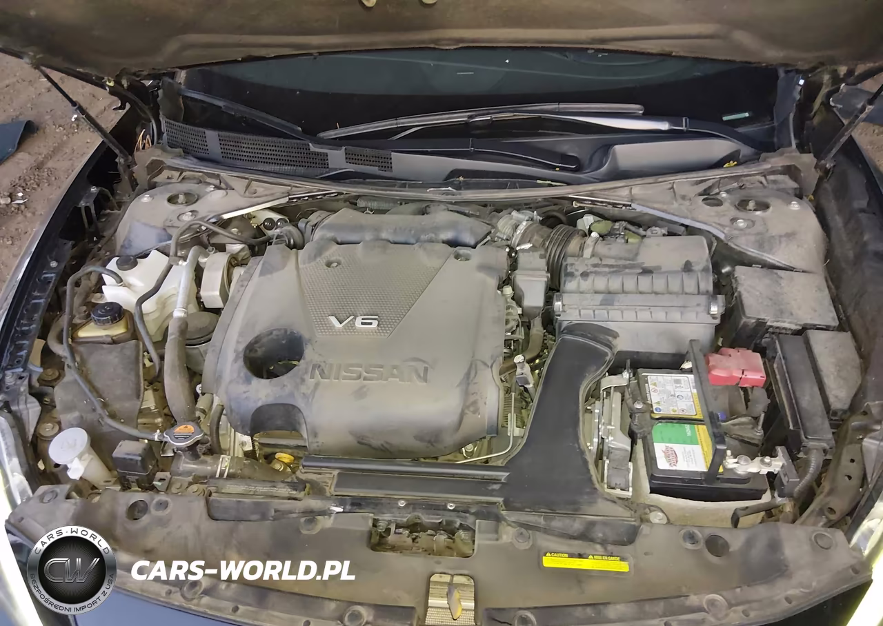 2017 Nissan Maxima 3.5 Platinum VIN:1N4AA6AP6HC365251 - 10