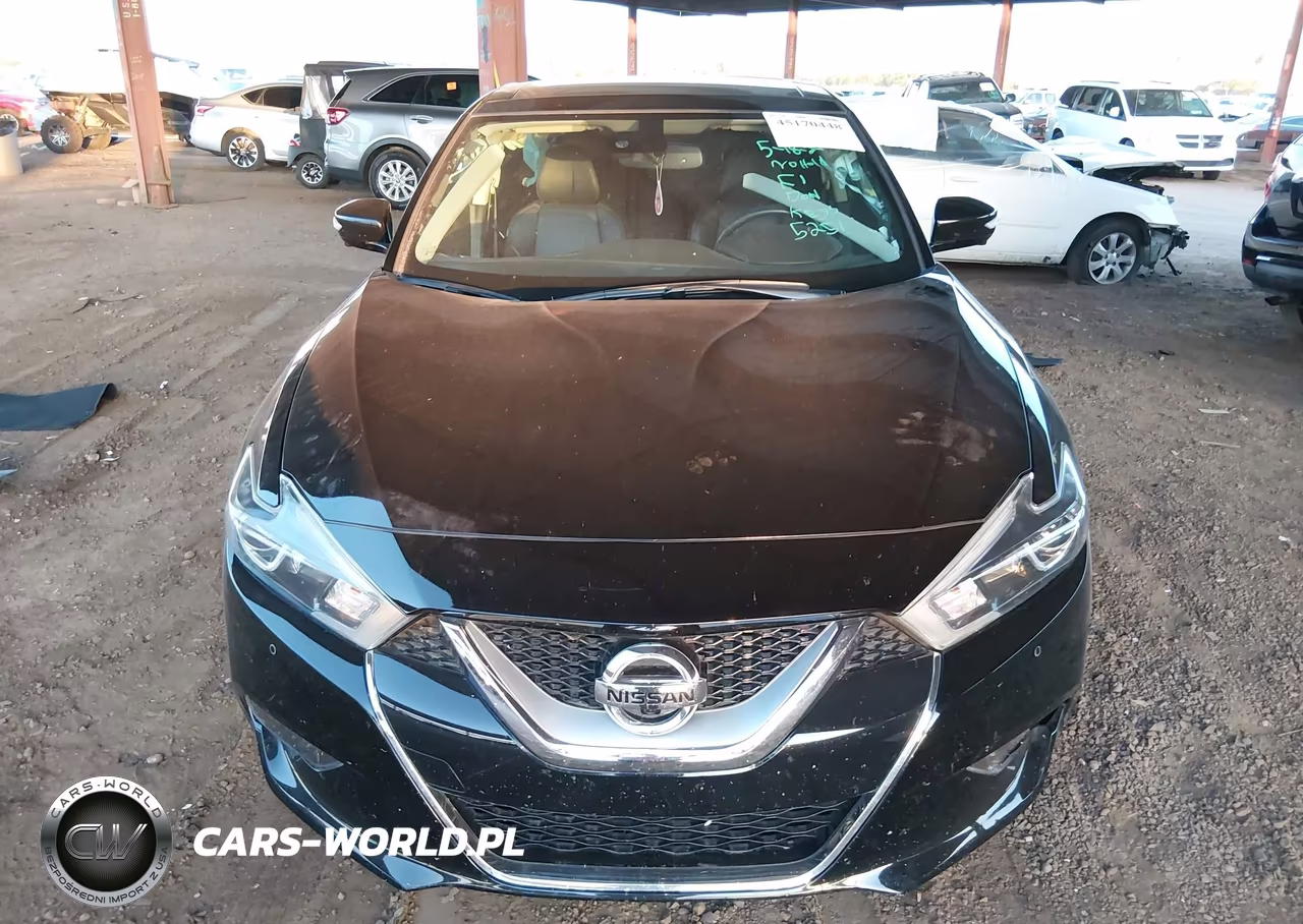2017 Nissan Maxima 3.5 Platinum VIN:1N4AA6AP6HC365251 - 12