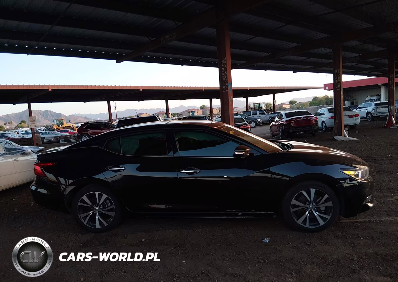 2017 Nissan Maxima 3.5 Platinum VIN:1N4AA6AP6HC365251 - 13