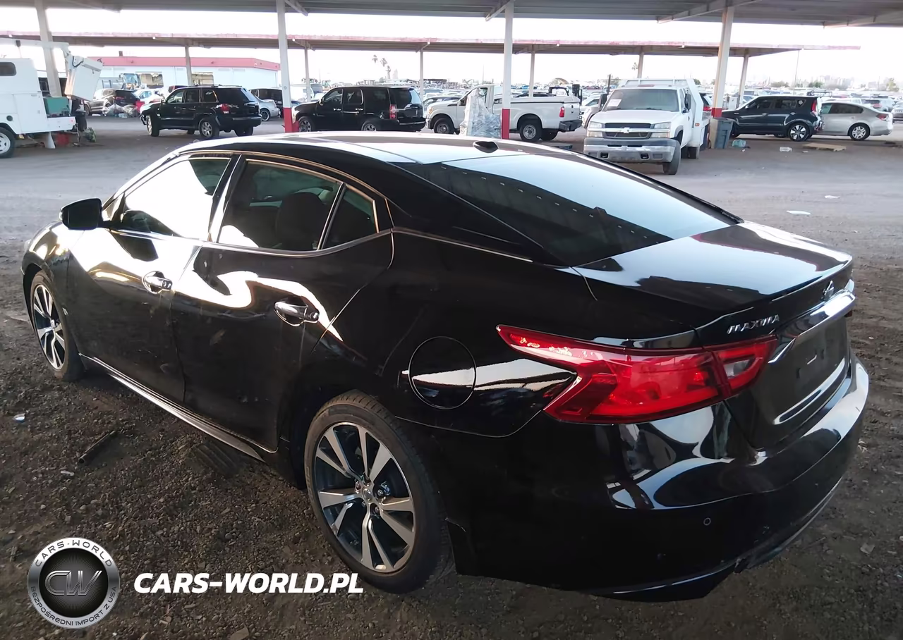 2017 Nissan Maxima 3.5 Platinum VIN:1N4AA6AP6HC365251 - 3