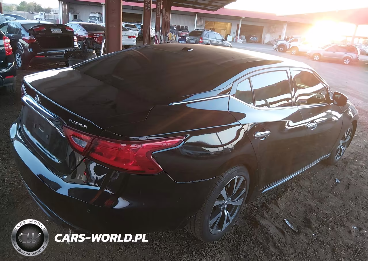 2017 Nissan Maxima 3.5 Platinum VIN:1N4AA6AP6HC365251 - 4
