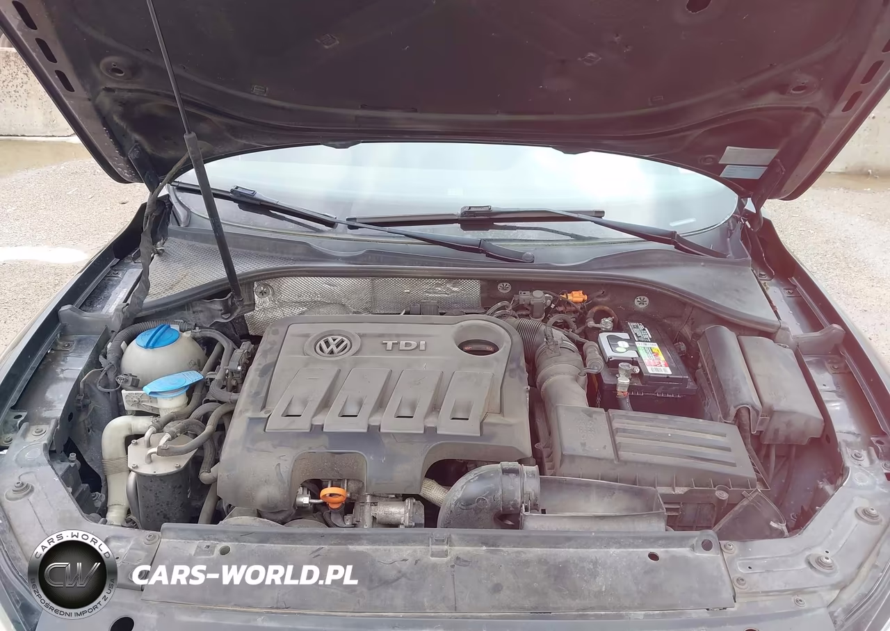 2013 Volkswagen Passat 2.0L Tdi Se VIN:1VWBN7A39DC119338 - 10