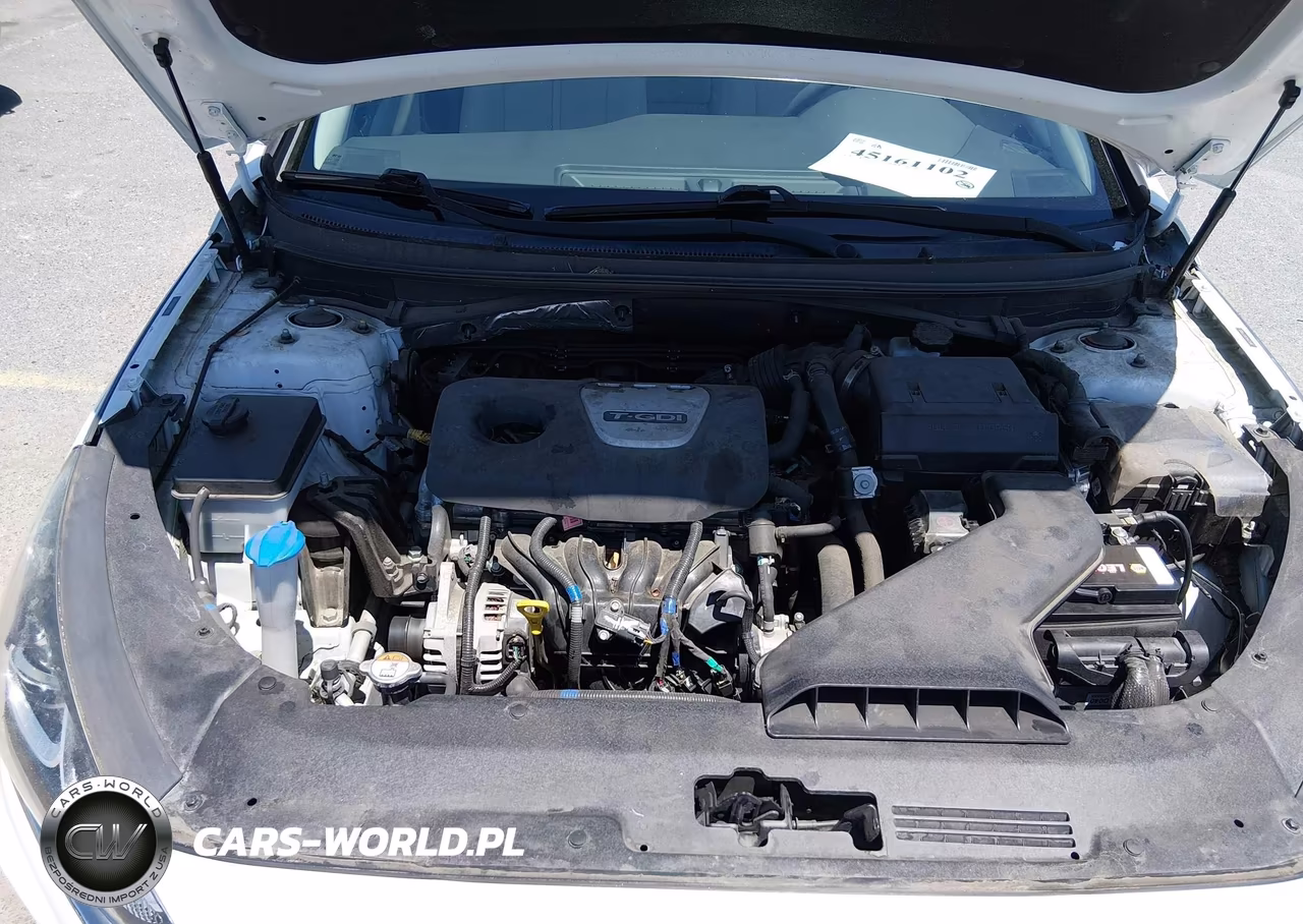 2019 Hyundai Sonata Eco VIN:5NPE24AA2KH774920 - 10