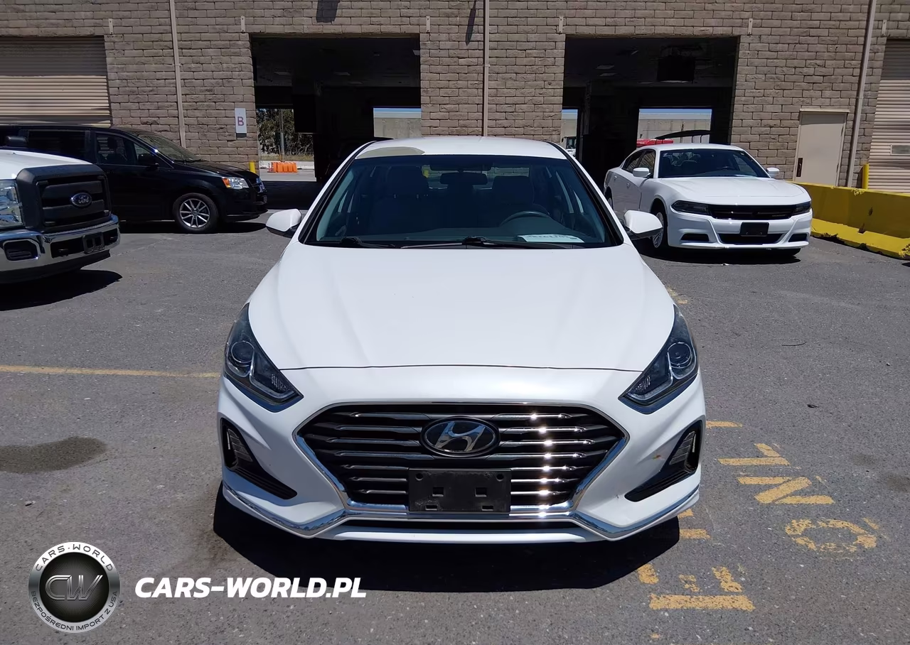 2019 Hyundai Sonata Eco VIN:5NPE24AA2KH774920 - 14