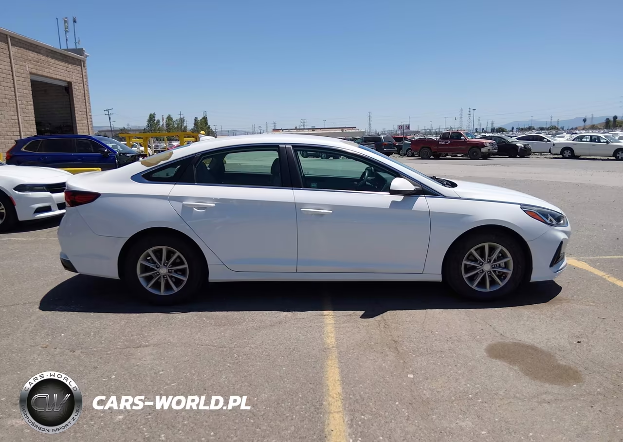 2019 Hyundai Sonata Eco VIN:5NPE24AA2KH774920 - 15