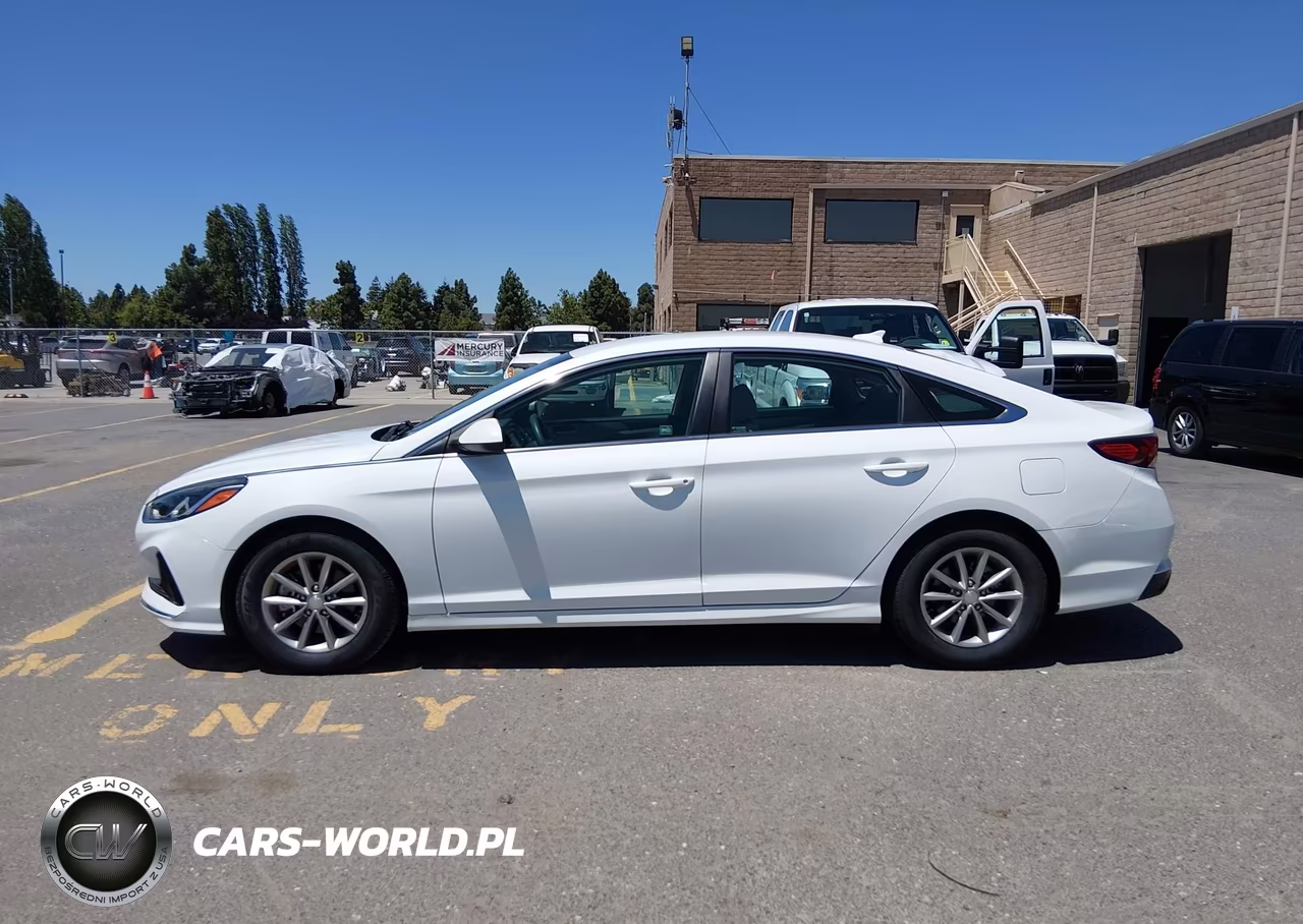 2019 Hyundai Sonata Eco VIN:5NPE24AA2KH774920 - 16
